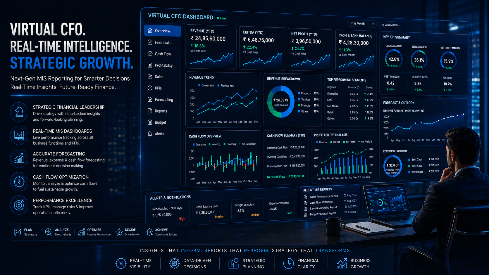 Real-Time MIS and CFO Advisory